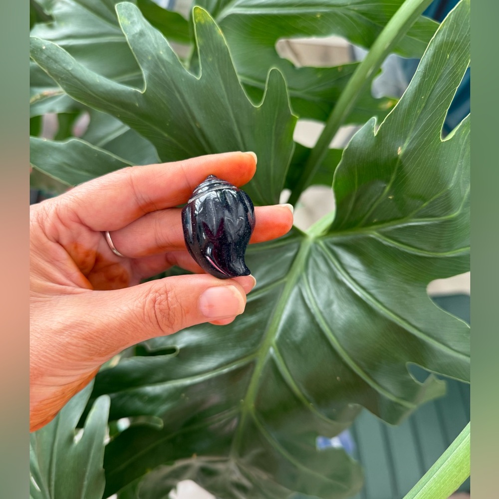 Blue Goldstone Seashell | Ambition, Protection & Cosmic Energy - Picture 4 of 4